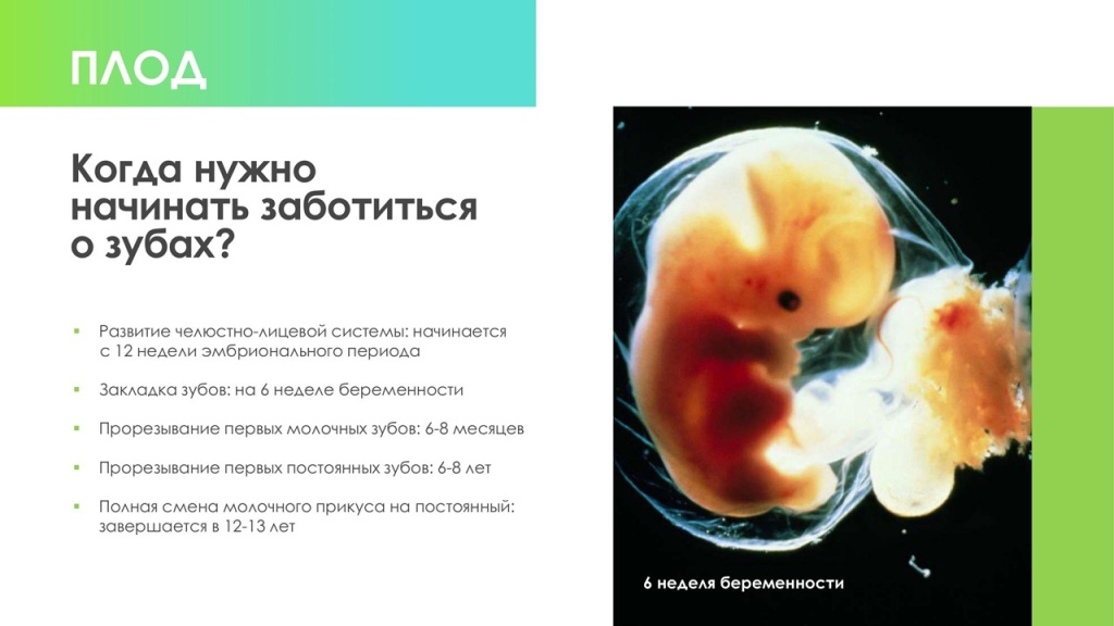 Слайд4.JPG